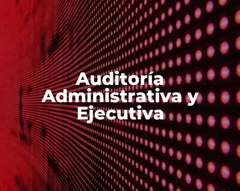 Auditoría Administrativa y Ejecutiva