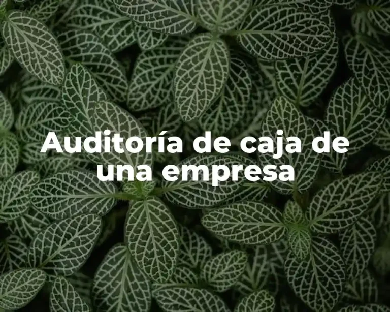 Auditoría de caja de una empresa