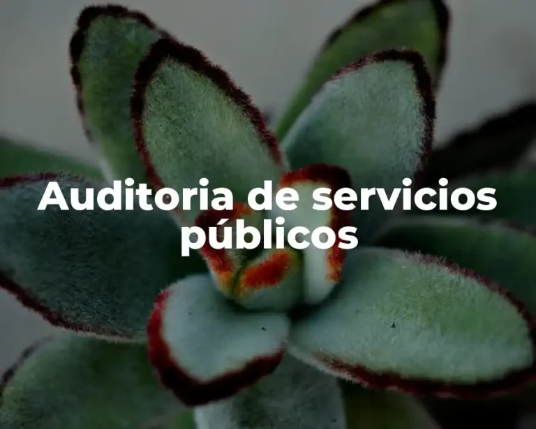 Auditoria de servicios públicos