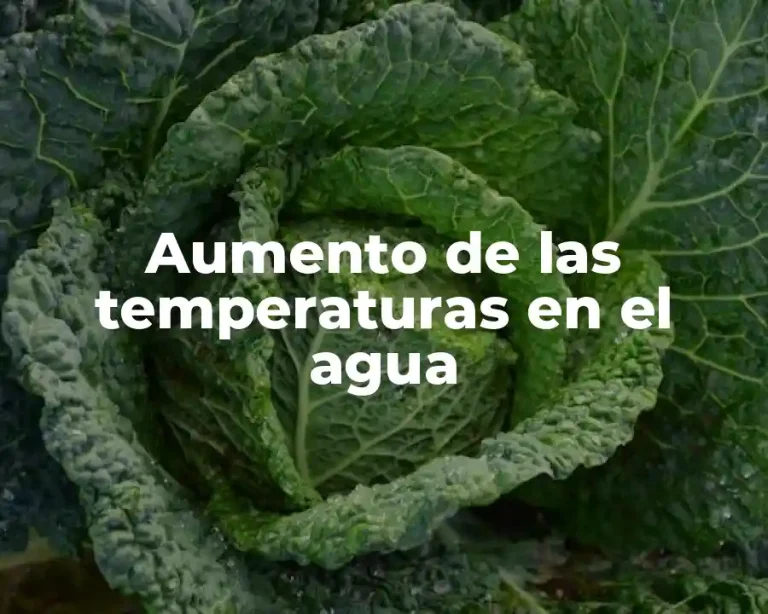 Aumento de las temperaturas en el agua