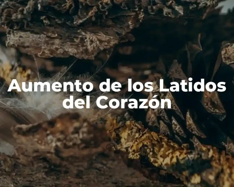 Aumento de los Latidos del Corazón