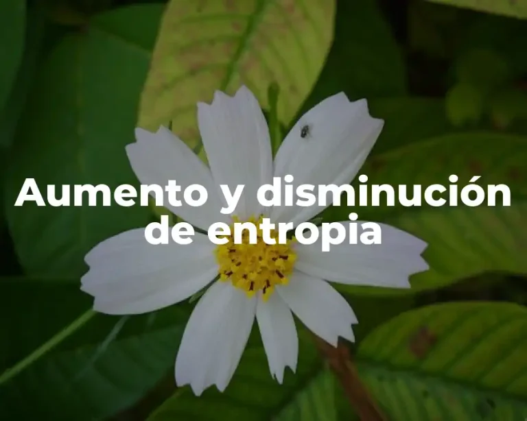 Aumento y disminución de entropia