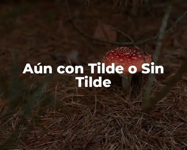 Aún con Tilde o Sin Tilde
