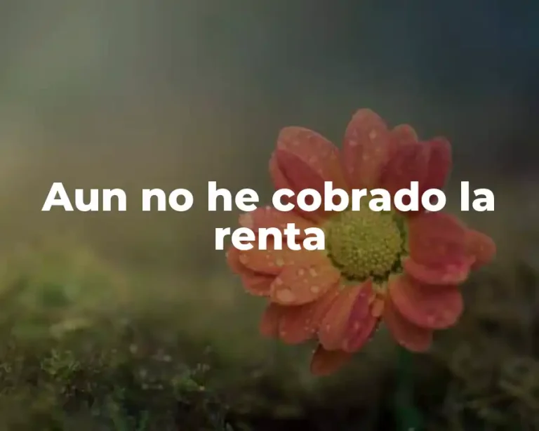 Aun no he cobrado la renta