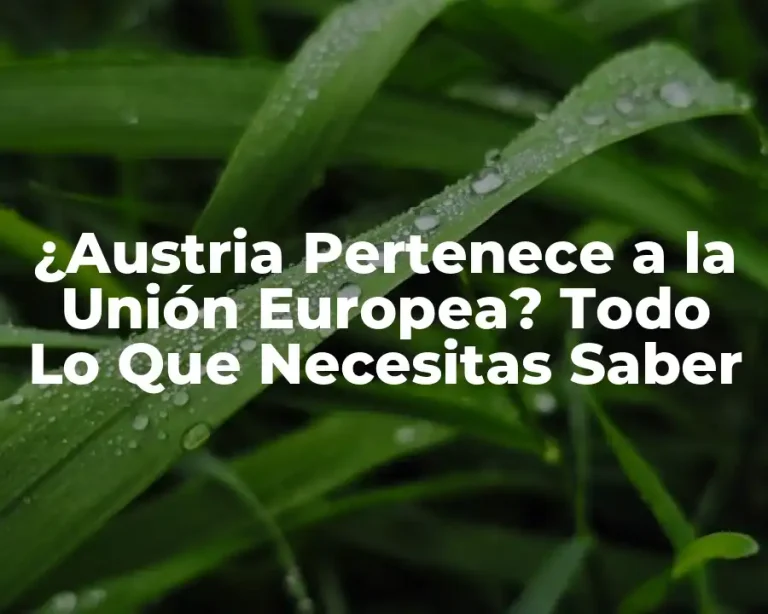 ¿Austria Pertenece a la Unión Europea? Todo Lo Que Necesitas Saber