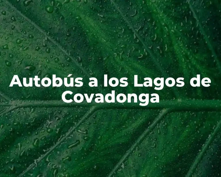 Autobús a los Lagos de Covadonga