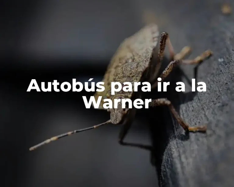 Autobús para ir a la Warner