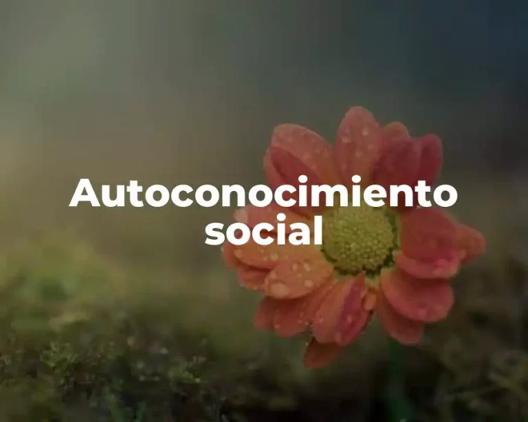 Autoconocimiento social