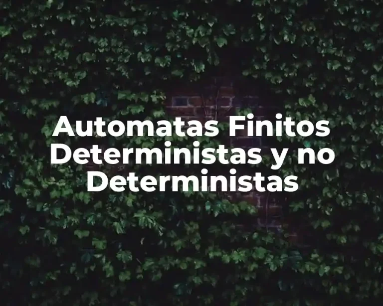 Automatas Finitos Deterministas y no Deterministas