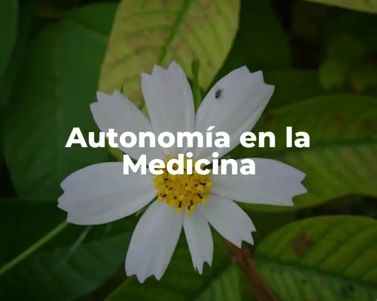 Autonomía en la Medicina