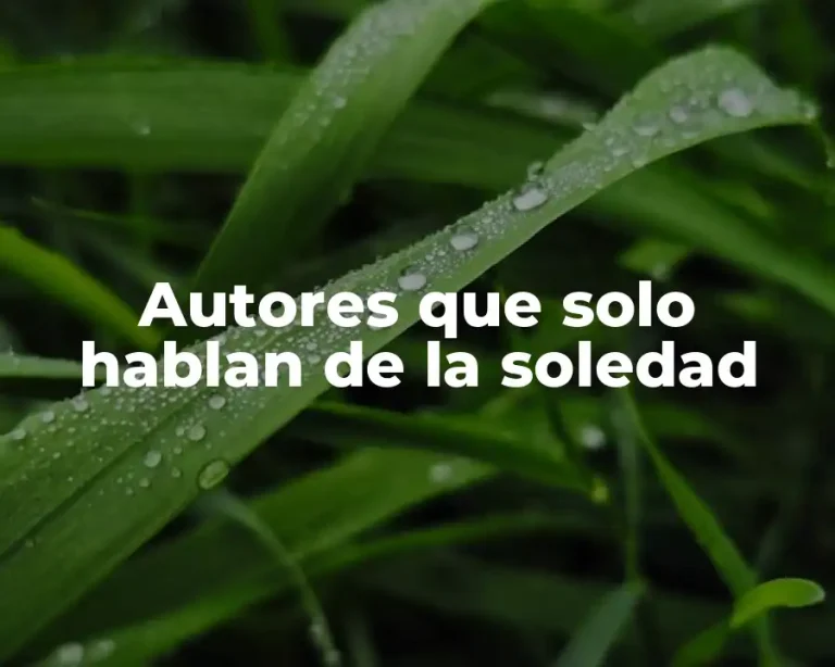Autores que solo hablan de la soledad