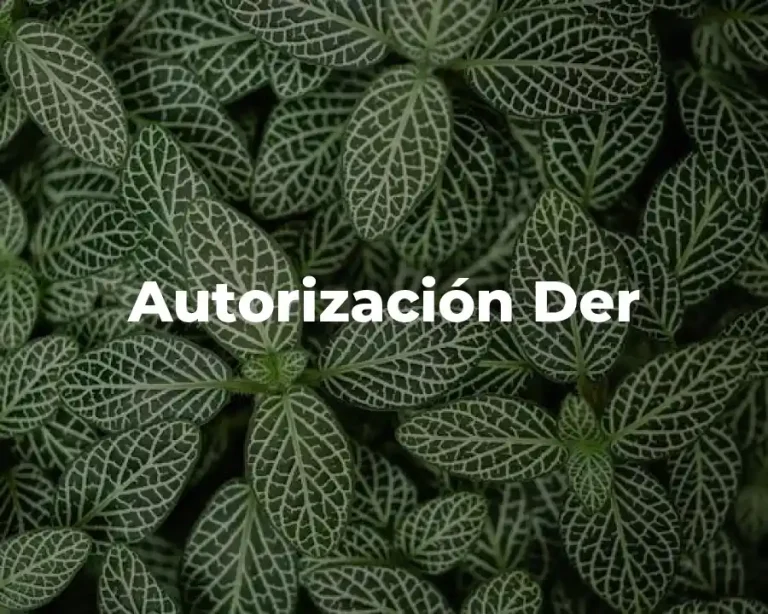 Autorización Der