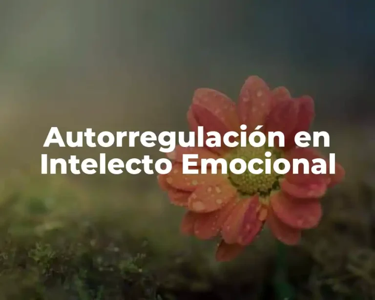 Autorregulación en Intelecto Emocional