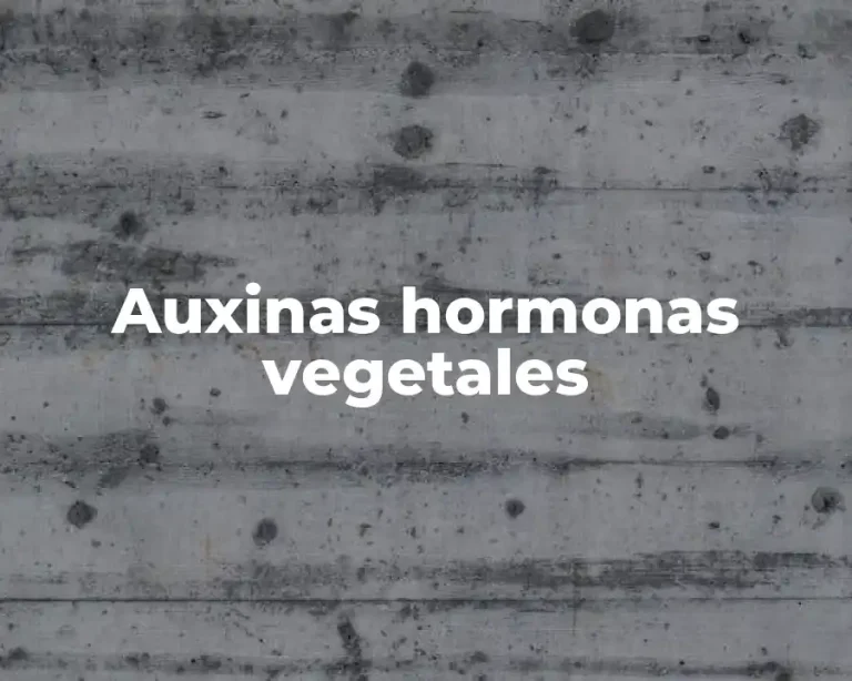 Auxinas hormonas vegetales