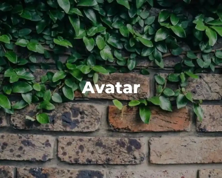 Avatar