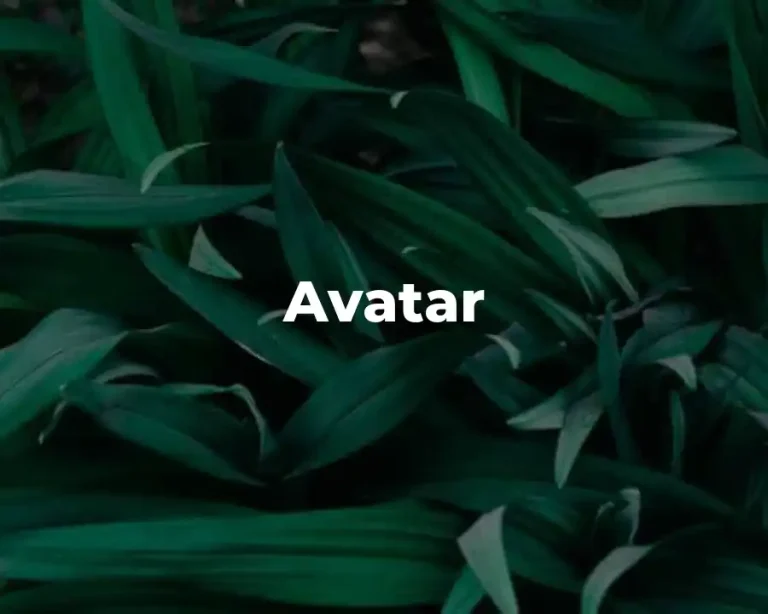 Avatar