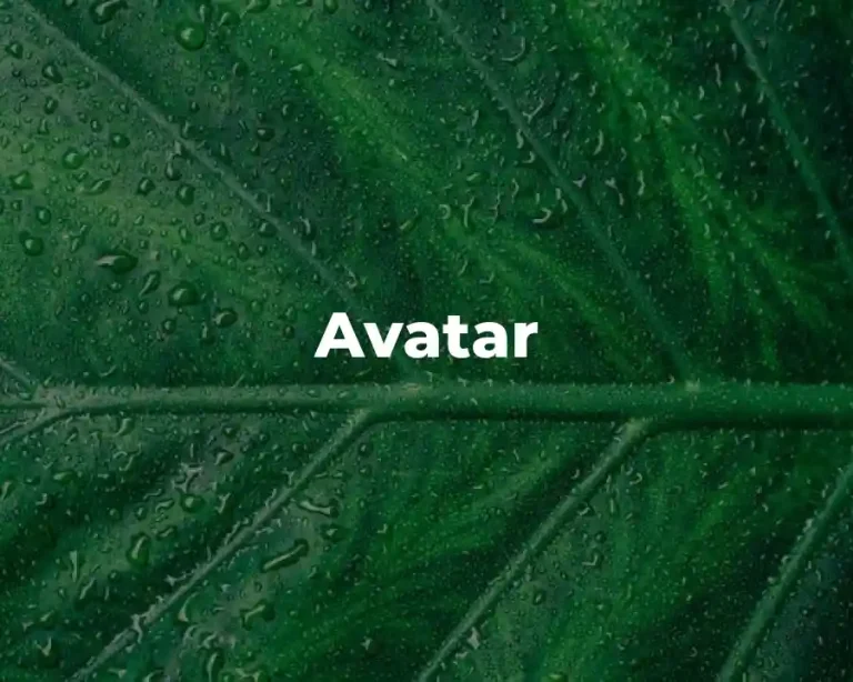 Avatar