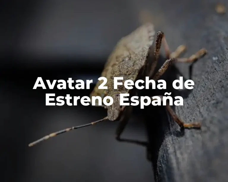 Avatar 2 Fecha de Estreno España