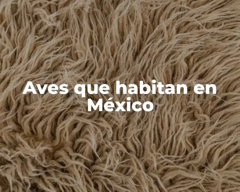 Aves que habitan en México