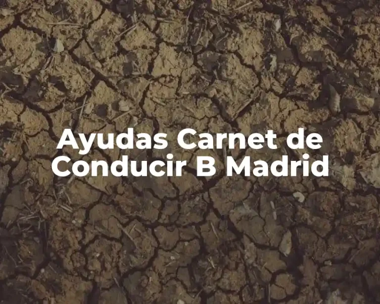 Ayudas Carnet de Conducir B Madrid
