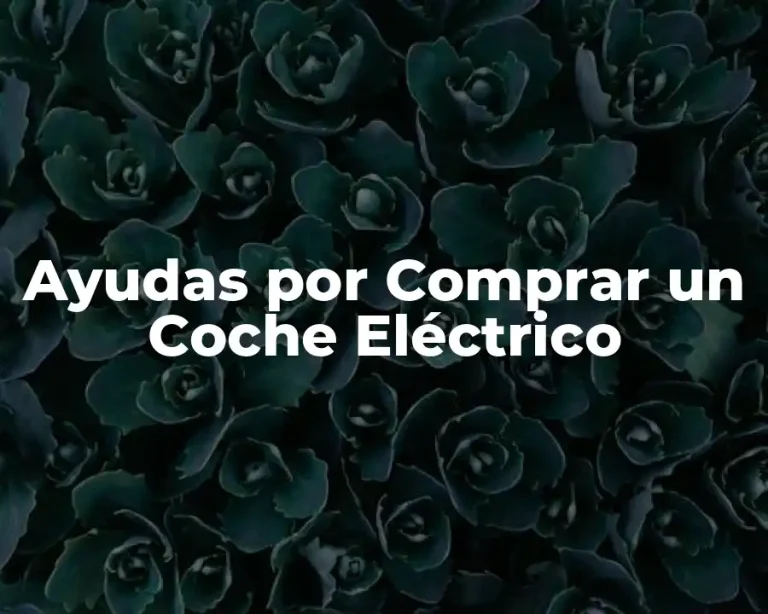 Ayudas por Comprar un Coche Eléctrico