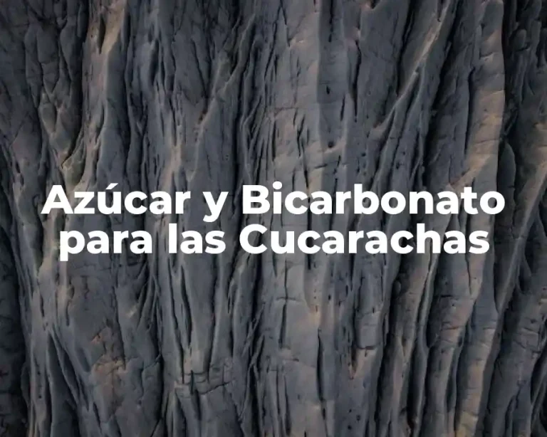 Azúcar y Bicarbonato para las Cucarachas