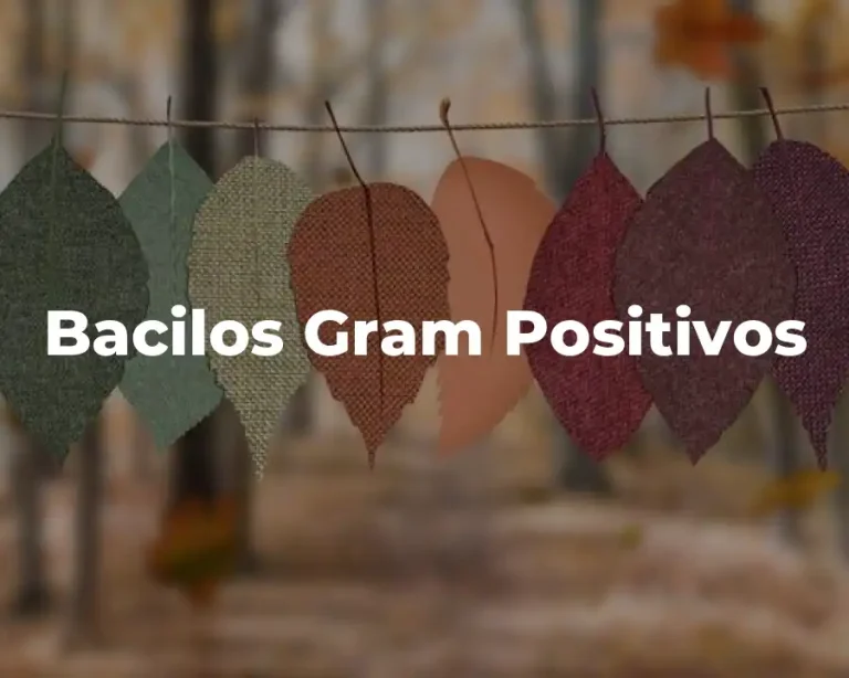 Bacilos Gram Positivos