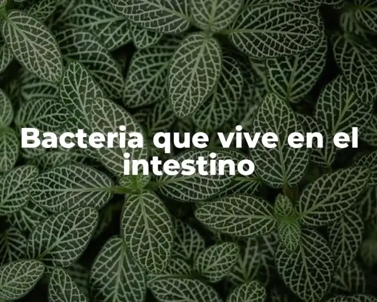Bacteria que vive en el intestino