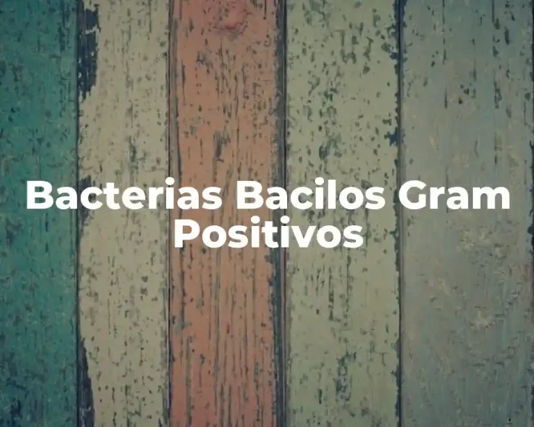 Bacterias Bacilos Gram Positivos