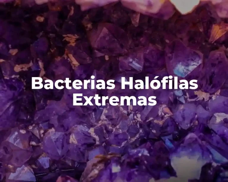 Bacterias Halófilas Extremas