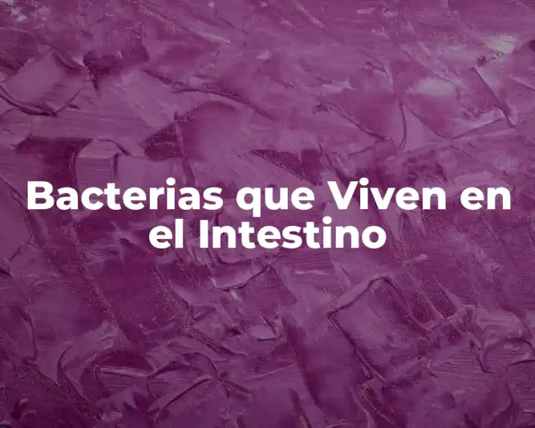 Bacterias que Viven en el Intestino