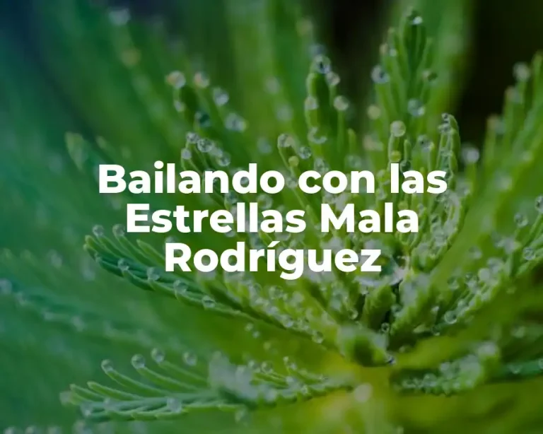 Bailando con las Estrellas Mala Rodríguez