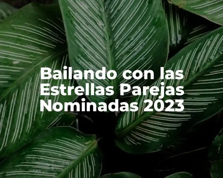 Bailando con las Estrellas Parejas Nominadas 2023