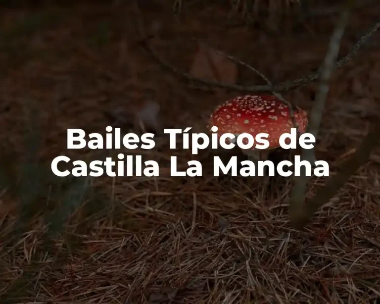 Bailes Típicos de Castilla La Mancha