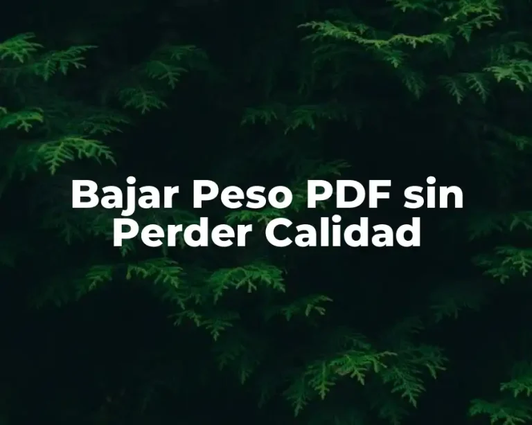 Bajar Peso PDF sin Perder Calidad