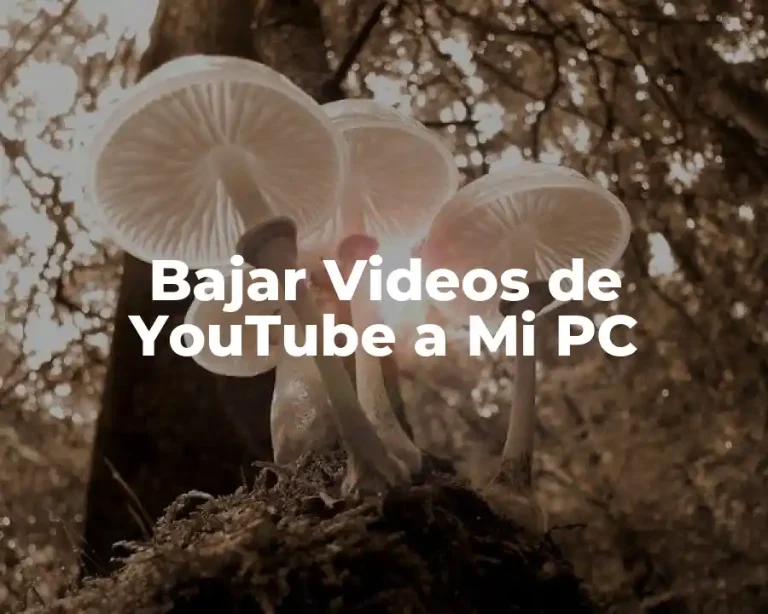 Bajar Videos de YouTube a Mi PC