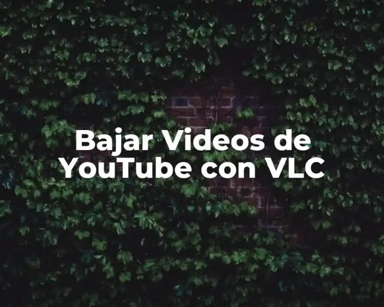 Bajar Videos de YouTube con VLC