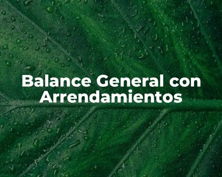 Balance General con Arrendamientos