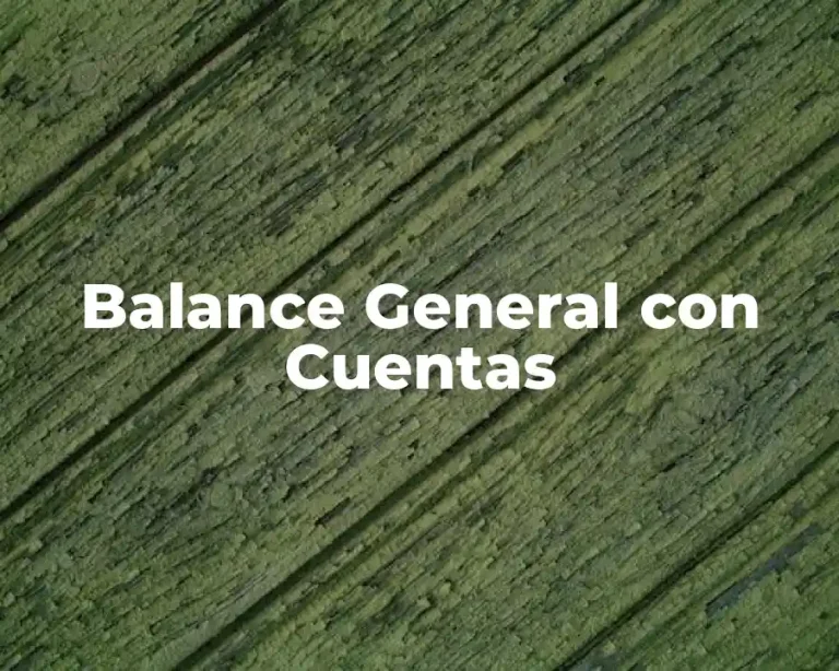 Balance General con Cuentas