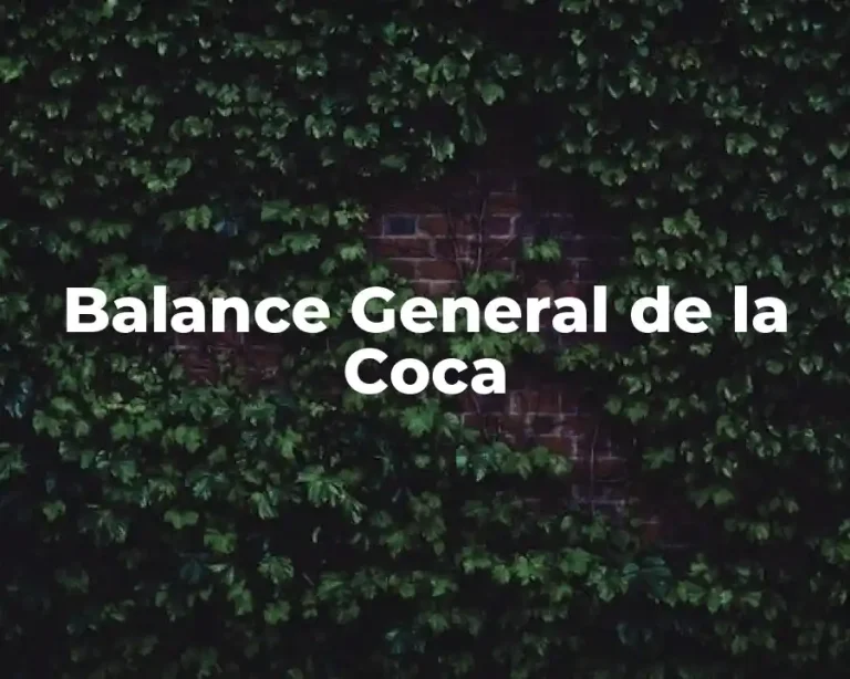 Balance General de la Coca