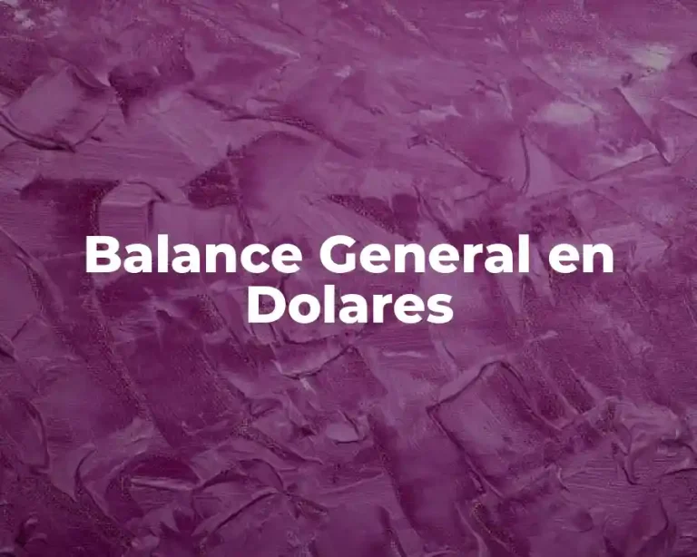 Balance General en Dolares