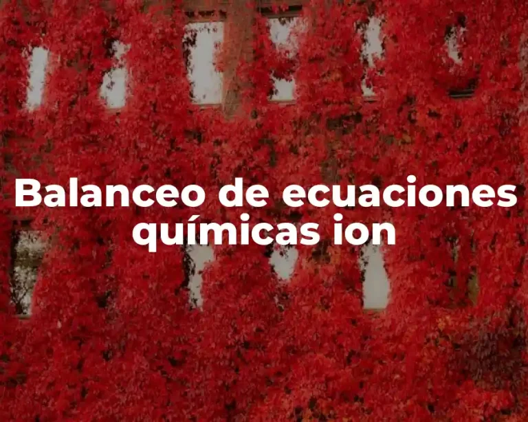 Balanceo de ecuaciones químicas ion