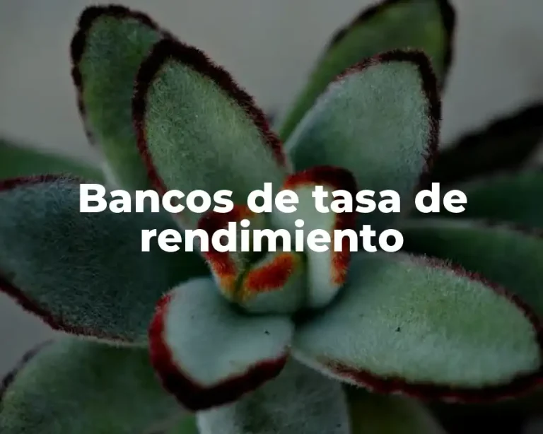 Bancos de tasa de rendimiento