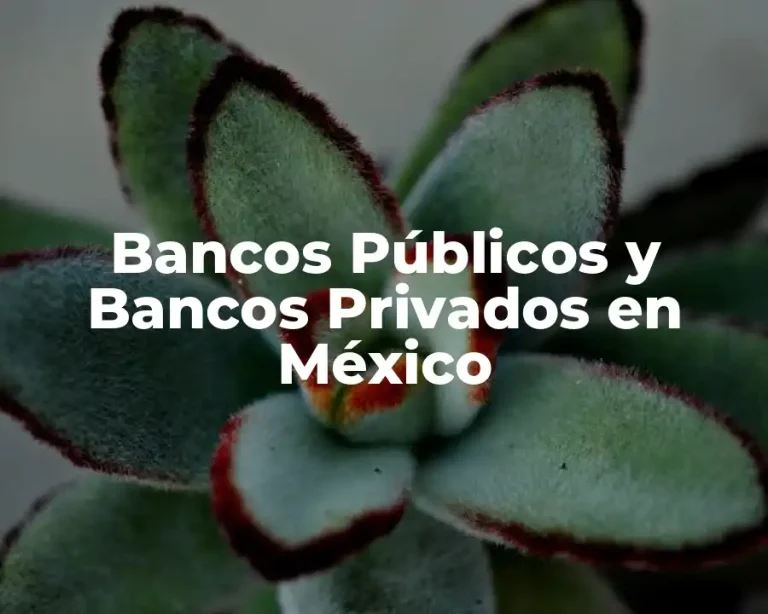 Bancos Públicos y Bancos Privados en México