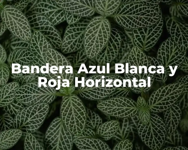 Bandera Azul Blanca y Roja Horizontal