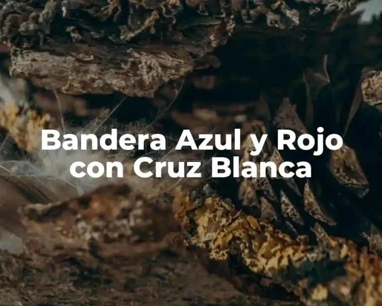 Bandera Azul y Rojo con Cruz Blanca
