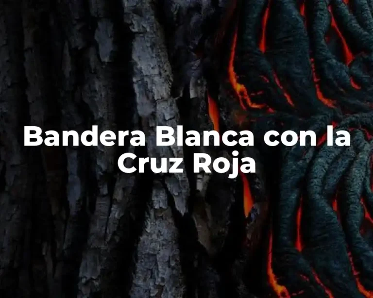 Bandera Blanca con la Cruz Roja