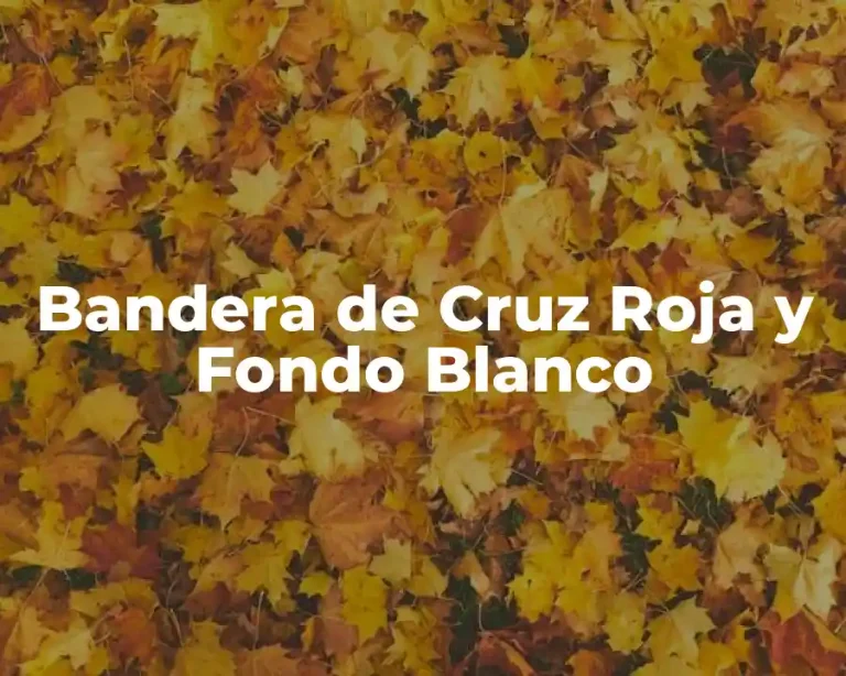 Bandera de Cruz Roja y Fondo Blanco