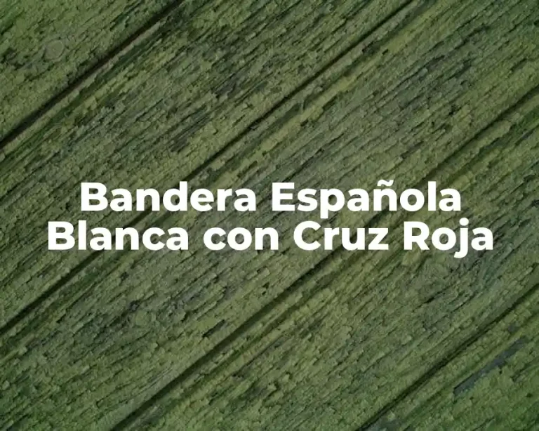 Bandera Española Blanca con Cruz Roja