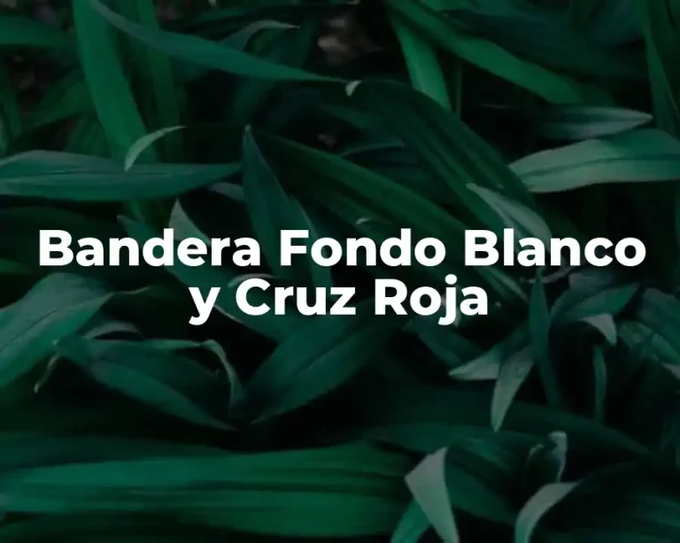 Bandera Fondo Blanco y Cruz Roja